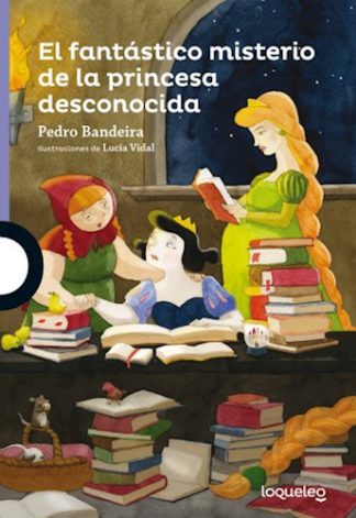 EL FANTASTICO MISTERIO DE LA PRINCESA DESCONOCIDA