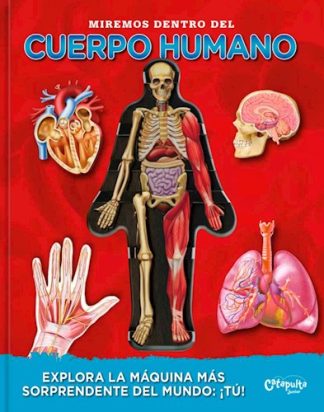 MIREMOS DENTRO DEL CUERPO