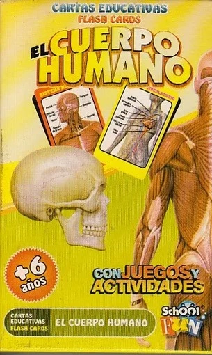 EL CUERPO HUMANO