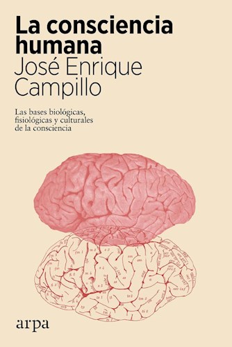 LA CONSCIENCIA HUMANA