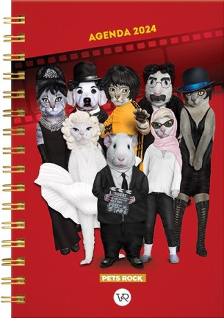 AGENDA 2024 - NEWS PETS ROCK