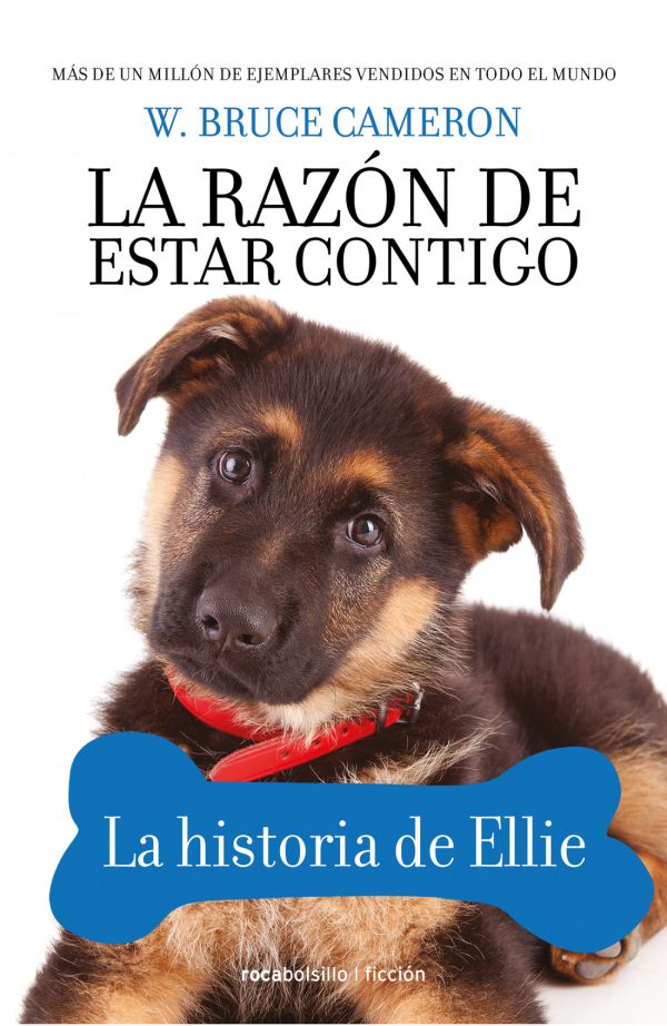 LA RAZON DE ESTAR CONTIGO
