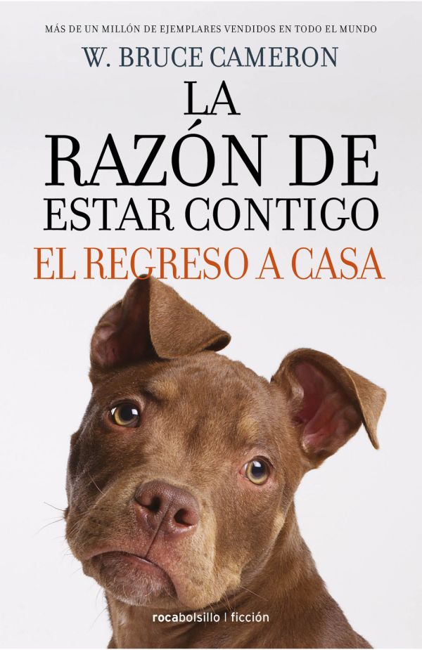 RAZON DE ESTAR CONTIGO. EL REGRESO A CASA