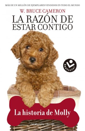 LA HISTORIA DE MOLLY