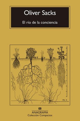 EL RIO DE LA CONCIENCIA