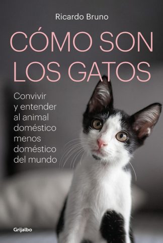 COMO SON LOS GATOS