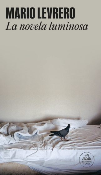 LA NOVELA LUMINOSA