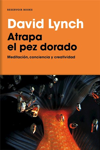 ATRAPA EL PEZ DORADO