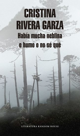 HABIA MUCHA NEBLINA O HUMO O NO SE QUE