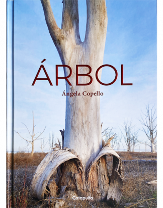 ARBOL